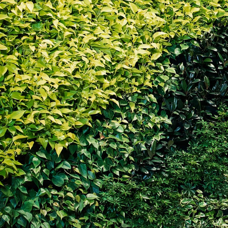 Meets compliance requirements, beyond scanning