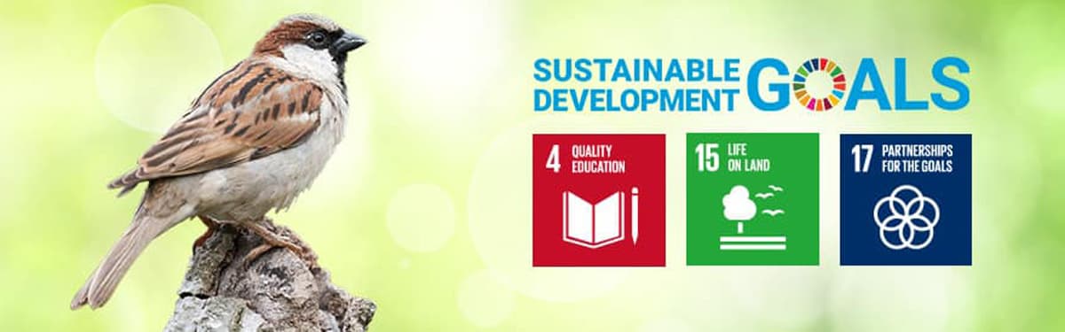 Bird with sustainable development goals