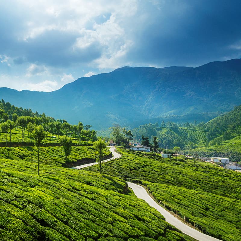 Production scanning solutions for a green future